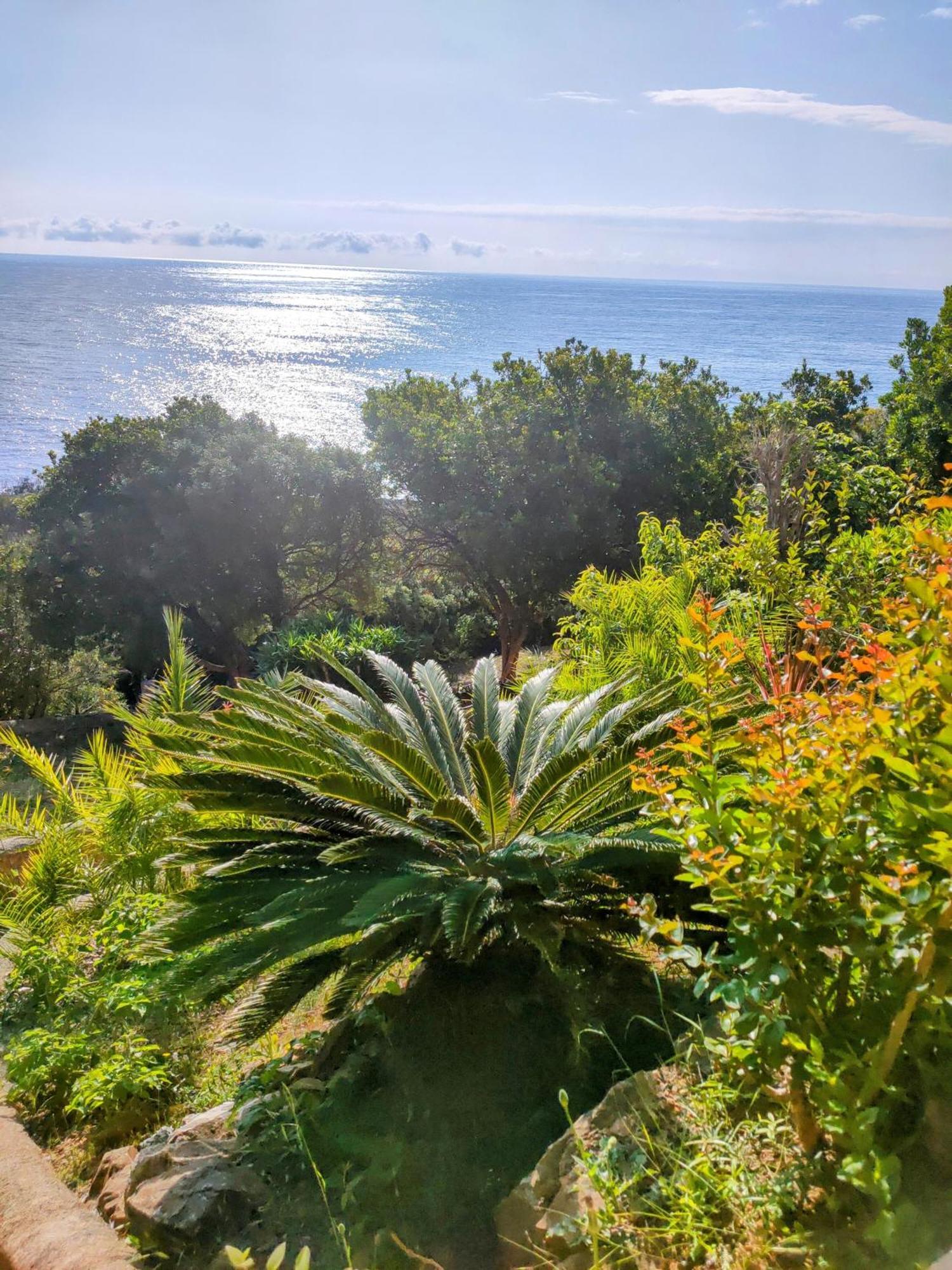 Studio Vue Sur Mer Conca Eksteriør billede