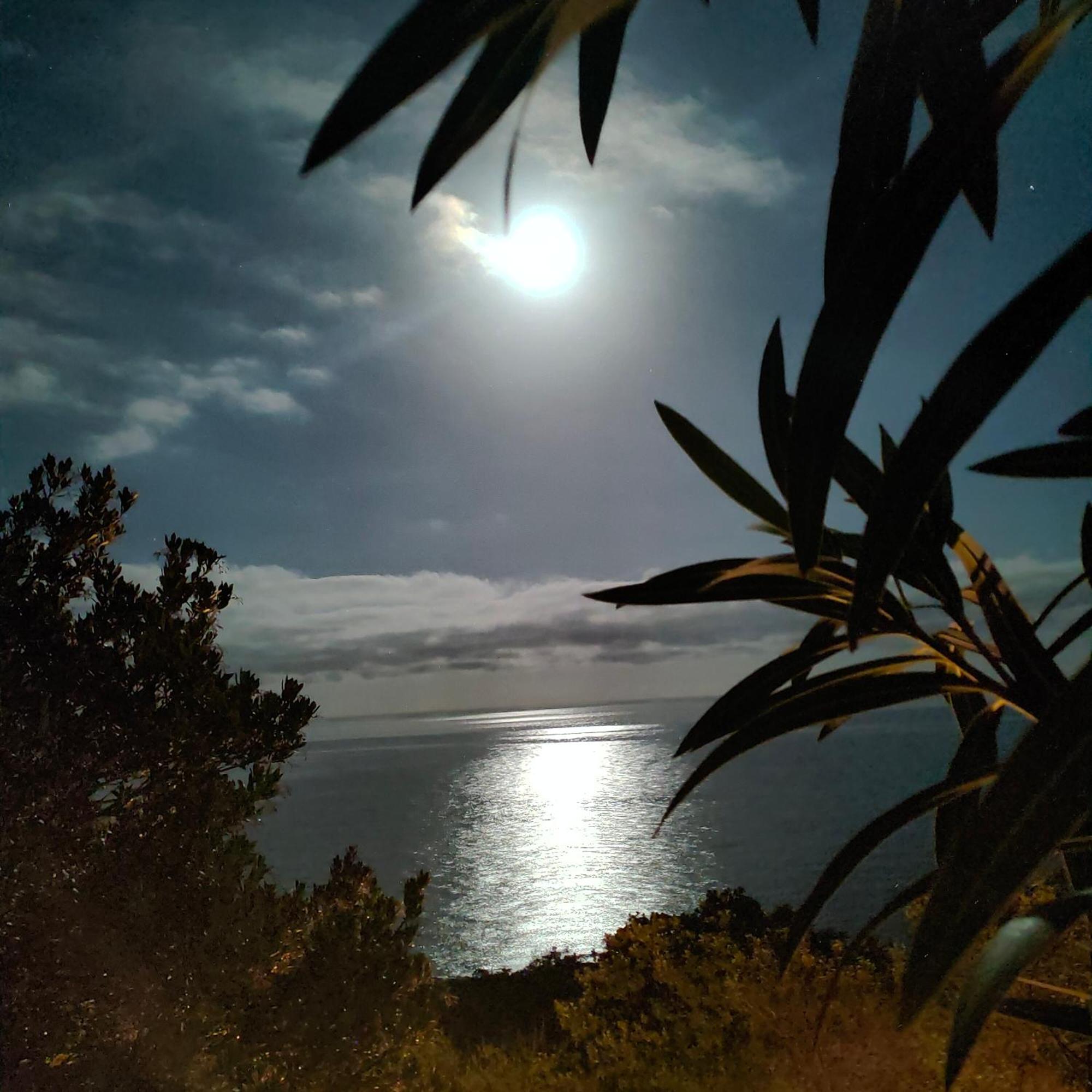Studio Vue Sur Mer Conca Eksteriør billede