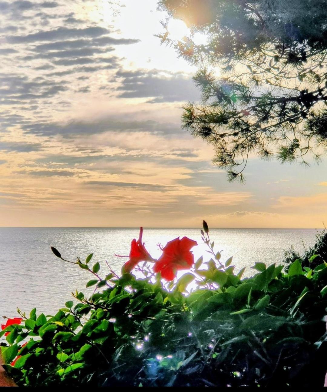 Studio Vue Sur Mer Conca Eksteriør billede